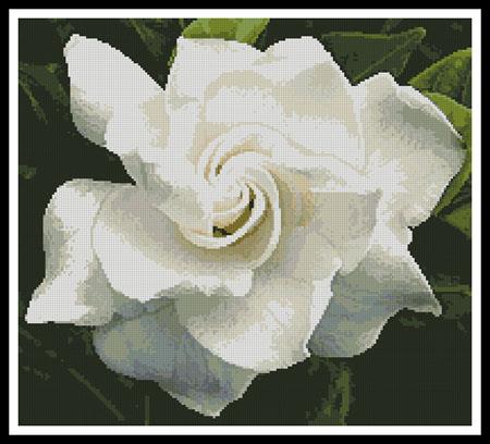 Gardenia - Artecy Cross Stitch