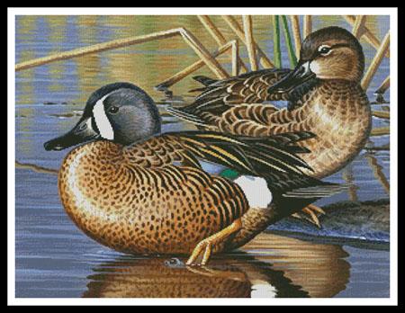 Blue Winged Teal Ducks - Artecy Cross Stitch