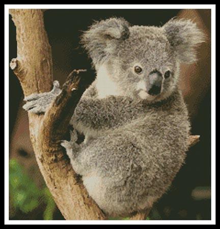 Koala On A Branch - Artecy Cross Stitch