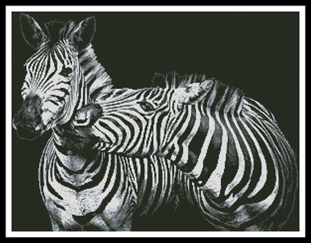 Black And White Zebras - Artecy Cross Stitch