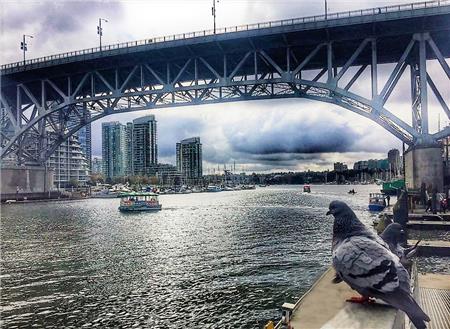 Grandville Island - The Frame Corner