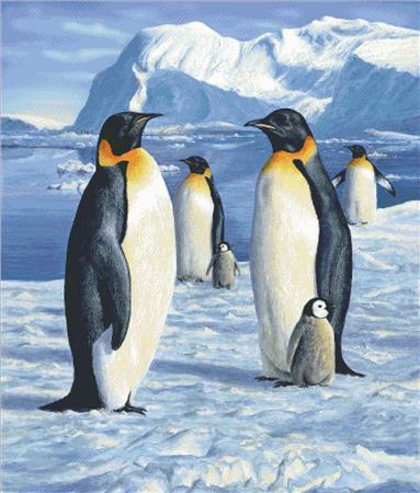 Penguins - Charting Creations
