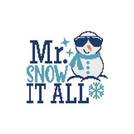 Mr. Snow It All - Cross Stitch Wonders