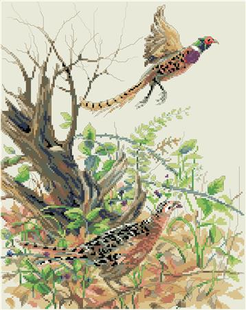Pheasants - Kooler Design Studio