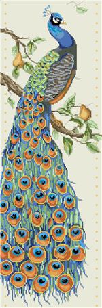 Peacock - Kooler Design Studio