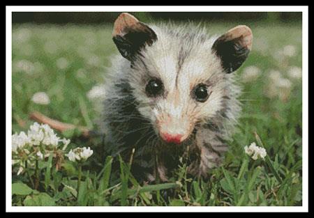 Opossum Joey - Artecy Cross Stitch