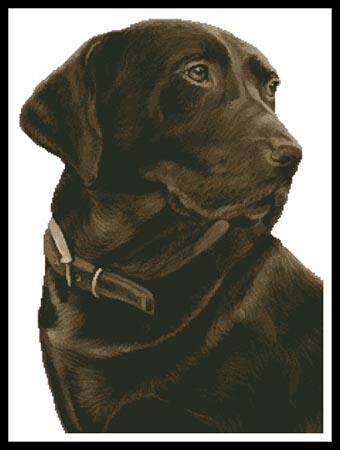 Chocolate Labrador (No Background) - Artecy Cross Stitch