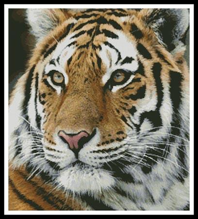 Siberian Tiger - Artecy Cross Stitch