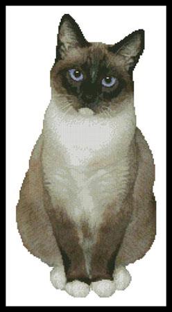 Snowshoe Cat - Artecy Cross Stitch