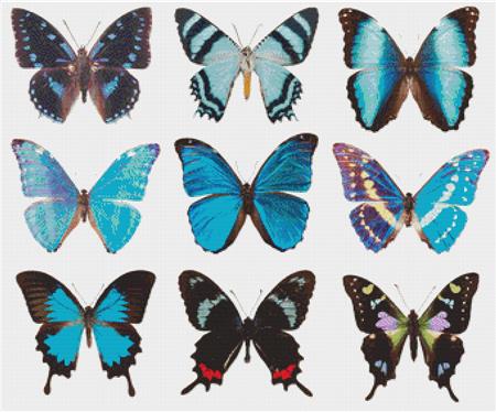 Blue Butterflies - X Squared Cross Stitch