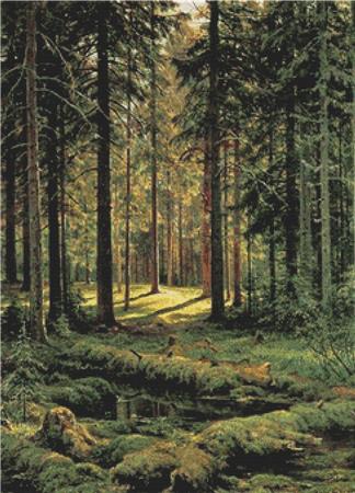 Coniferous Forest - X Squared Cross Stitch