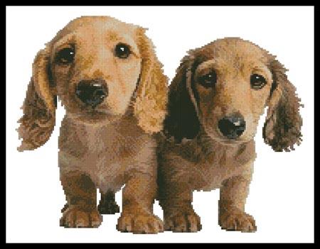 Dachshund Puppies - Artecy Cross Stitch