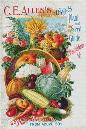 Plant And Seed Guide - X Squared Cross Stitch