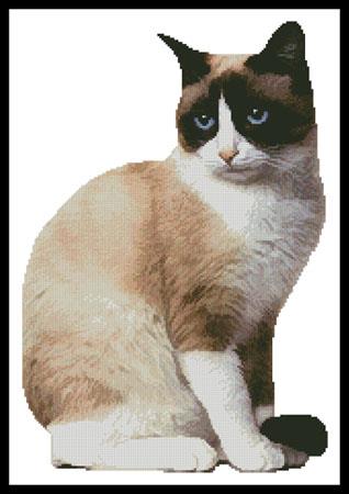 Snowshoe Cat 2 - Artecy Cross Stitch