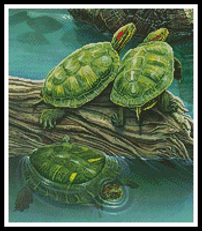 Turtle Pond (Crop) - Artecy Cross Stitch