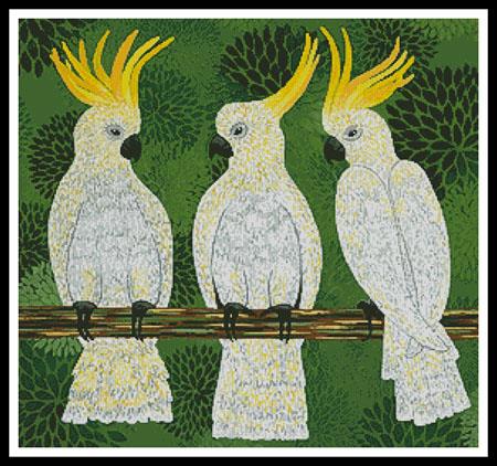 Three Cockatoos - Artecy Cross Stitch