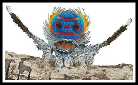 Peacock Spider - Artecy Cross Stitch