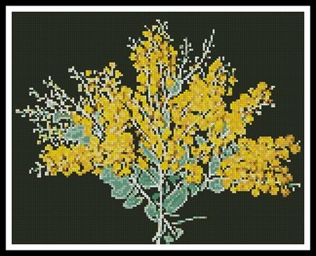 Queensland Silver Wattle - Artecy Cross Stitch
