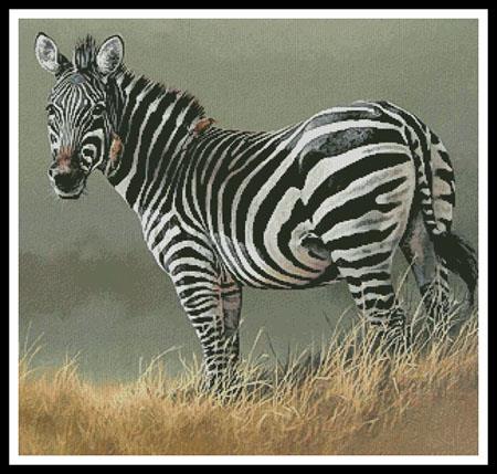 Zebra Painting - Artecy Cross Stitch