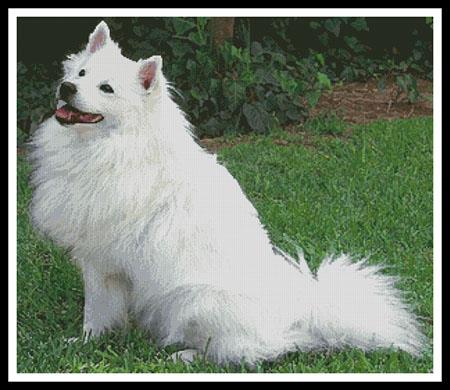 American Eskimo Dog 1 - Artecy Cross Stitch