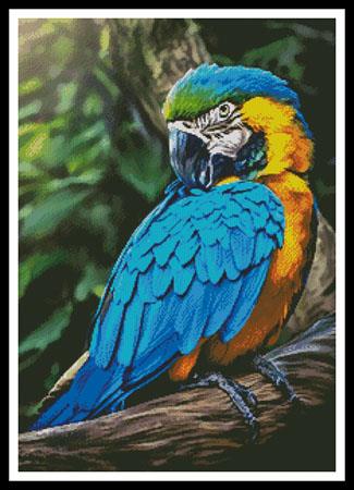 Macaw Profile - Artecy Cross Stitch