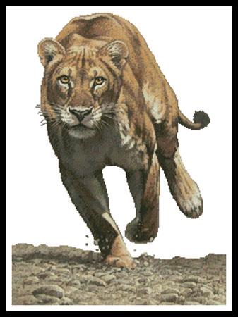 Shaya (No Background) - Artecy Cross Stitch