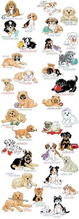 Encyclopedia Of Puppies - Kooler Design Studio