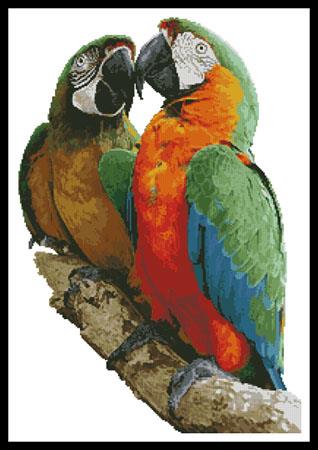 Macaws Photo - Artecy Cross Stitch