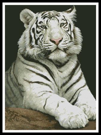 The Stare - Artecy Cross Stitch