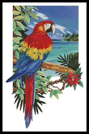 Tropical Scarlet Macaw - Artecy Cross Stitch