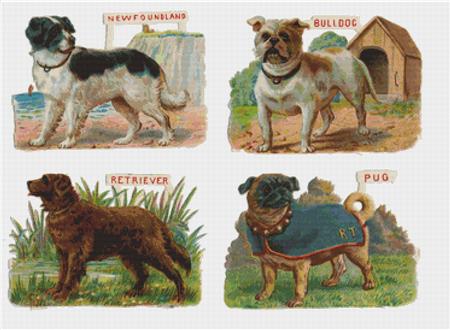 Four Dogs - X Squared Cross Stitch