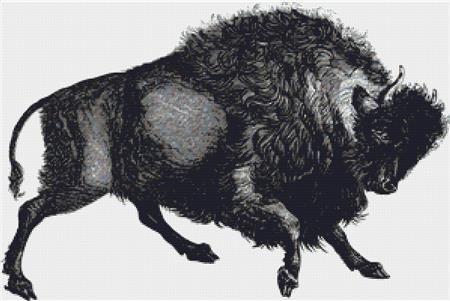 Buffalo - X Squared Cross Stitch