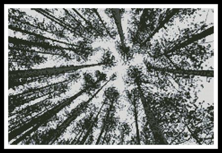 Looking Up At Pine Trees - Artecy Cross Stitch