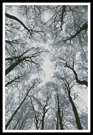 Looking Up At Winter Trees - Artecy Cross Stitch