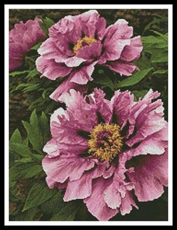 Pink Petals - Artecy Cross Stitch