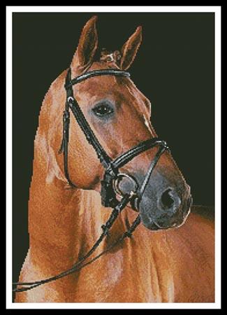 Portrait Of A Brown Horse - Artecy Cross Stitch