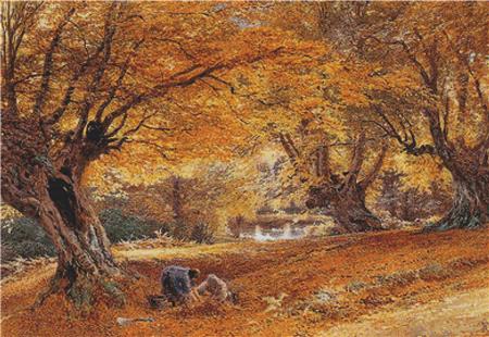 Burnham Beeches - X Squared Cross Stitch