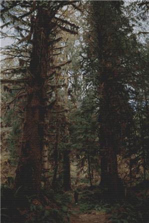 Giant Trees - X Squared Cross Stitch