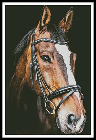 Horse Close Up 2 - Artecy Cross Stitch