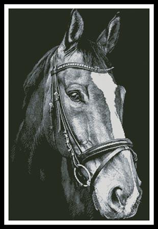 Horse Close Up 2 (Black & White) - Artecy Cross Stitch