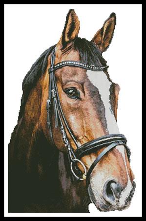 Horse Close Up 2 (No Background) - Artecy Cross Stitch
