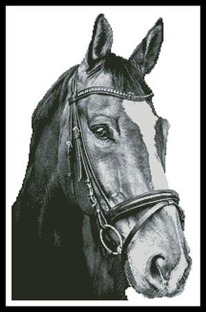 Horse Close Up 2 (Black & White) No Background - Artecy Cross Stitch