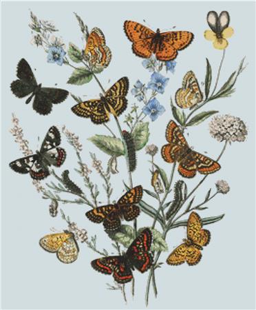 Butterflies On Flowers - X Squared Cross Stitch