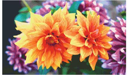 Dahlia Blooms - Fox Trails Needlework