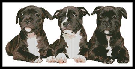 Staffordshire Bull Terrier Puppies - Artecy Cross Stitch