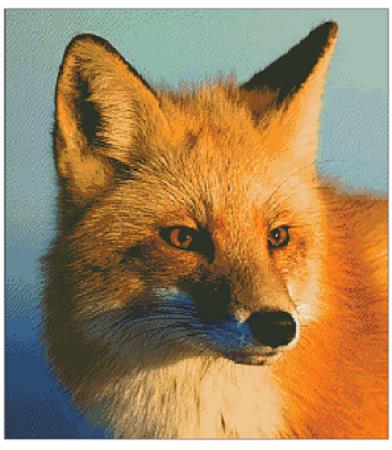 Fox Close Up - Fox Trails Needlework