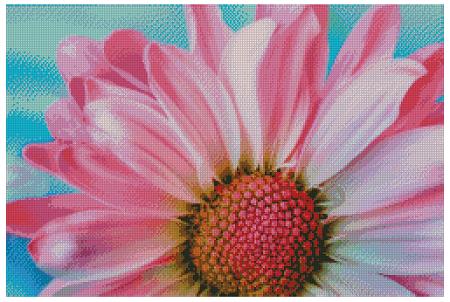Pink Daisy - Fox Trails Needlework
