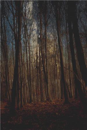 Autumn Forest At Night - X Squared Cross Stitch