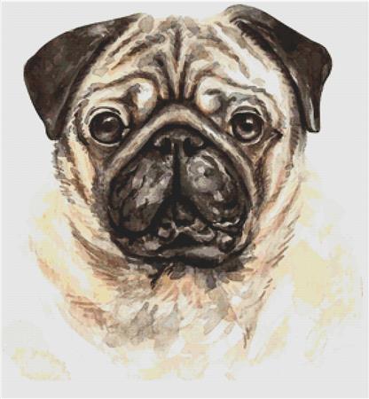 Watercolour Pug - X Squared Cross Stitch