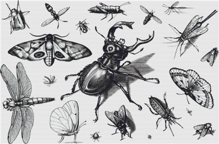 Vintage Insects - X Squared Cross Stitch
